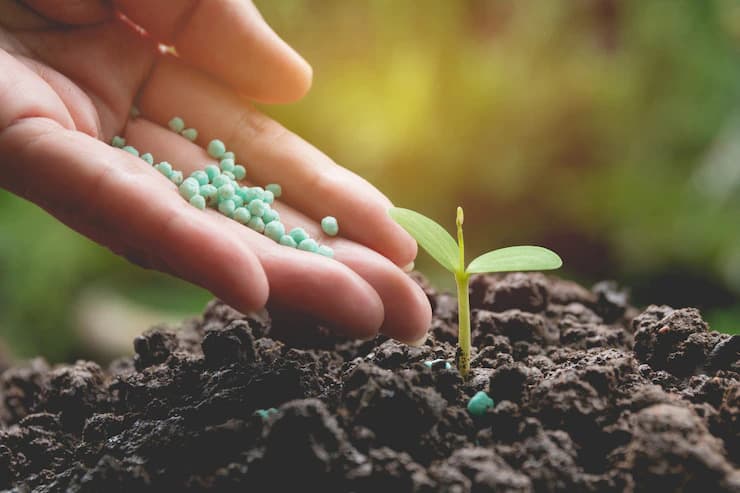 Biofertilizers and other Practices to Control Diseases